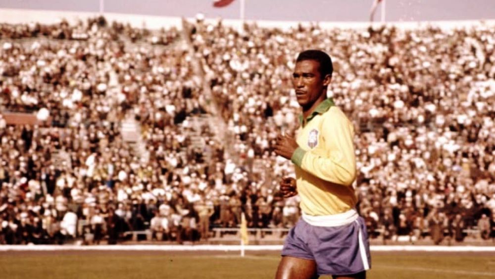 didi brazil novibet