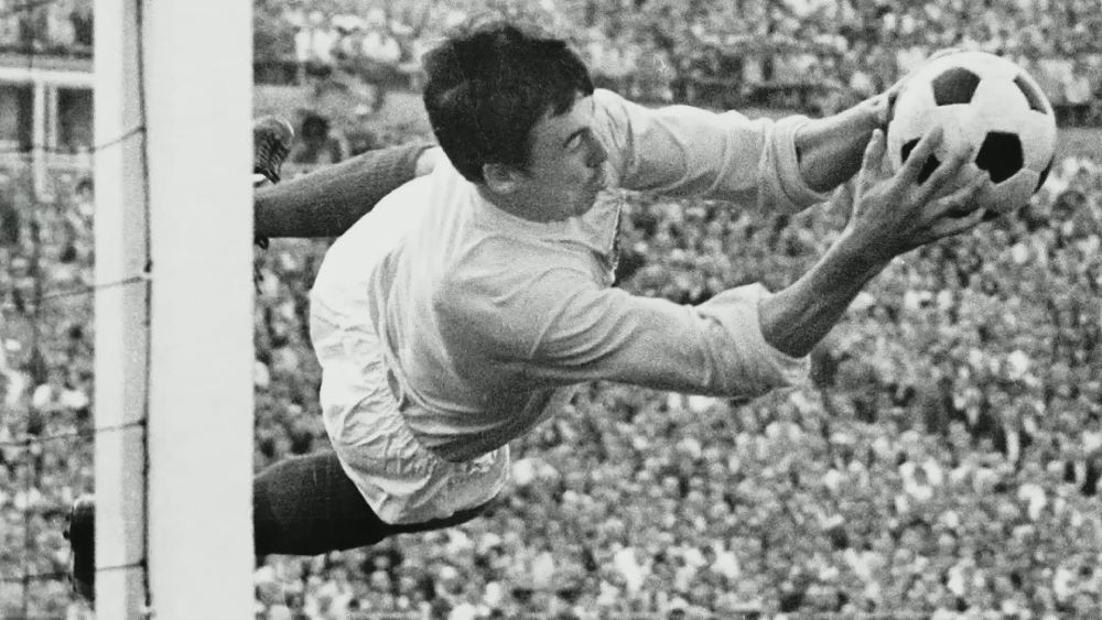 gordon banks novibet