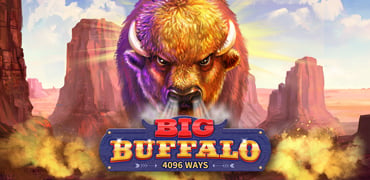 Big Buffalo Novibet