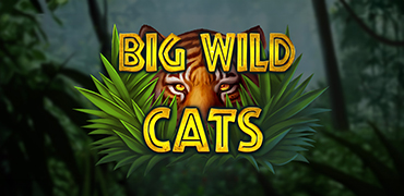 Big Wild Cats Novibet