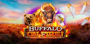 Buffalo on Fire! Novibet