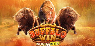 Buffalo Win Novibet