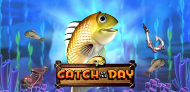 Catch Of The Day Novibet