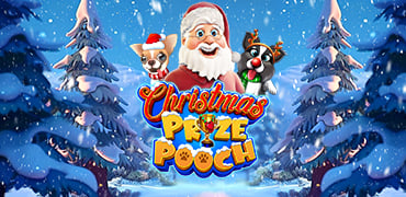 Christmas Prize Pooch Novibet