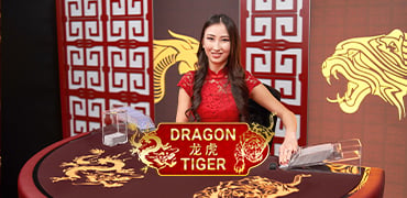 Live Dragon Tiger Novibet