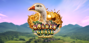 Golden Goose Megaways Novibet
