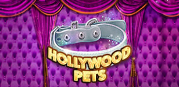 Hollywood Pets Novibet