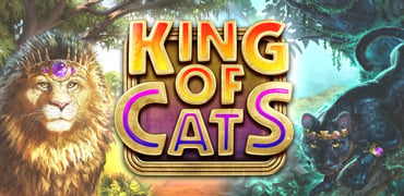 King of Cats Novibet