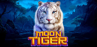 Moon Tiger Novibet