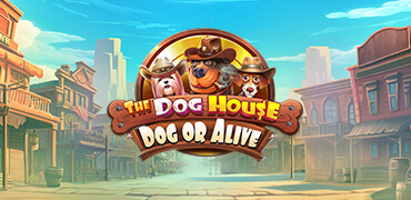 The Dog House Dog Or Alive Novibet