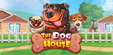 The Dog House Novibet