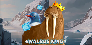 Walrus King Novibet