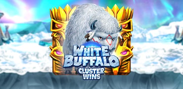White Buffalo Novibet