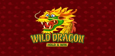 Wild Dragon Hold And Win Novibet