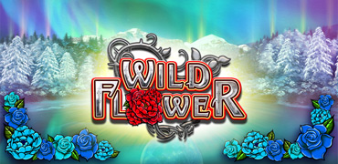 Wild Flower Novibet