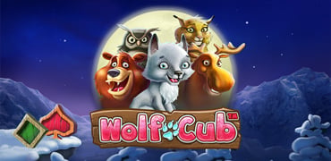 Wolf Cub Novibet